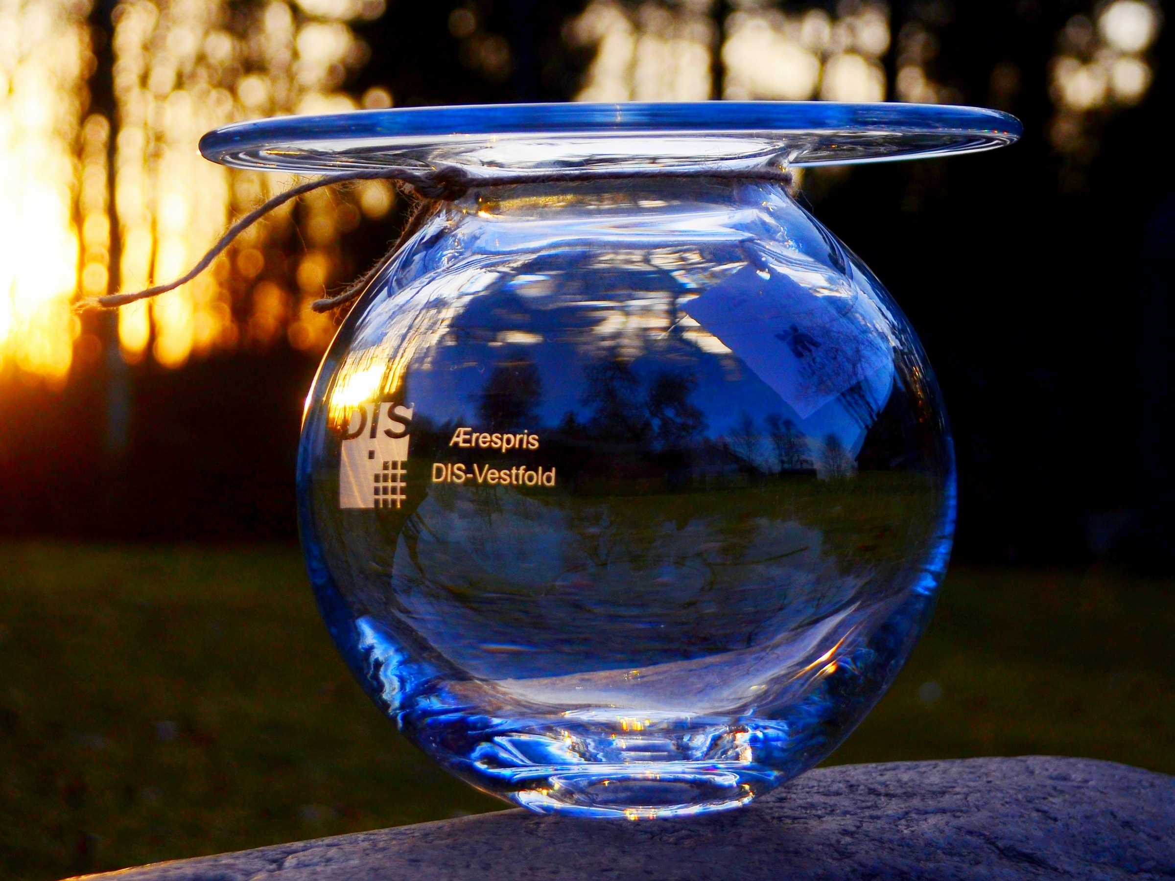 Slekt og Data Vestfolds ærespris