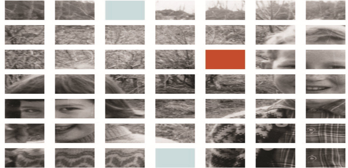 Slektforskerdagen Hedmark