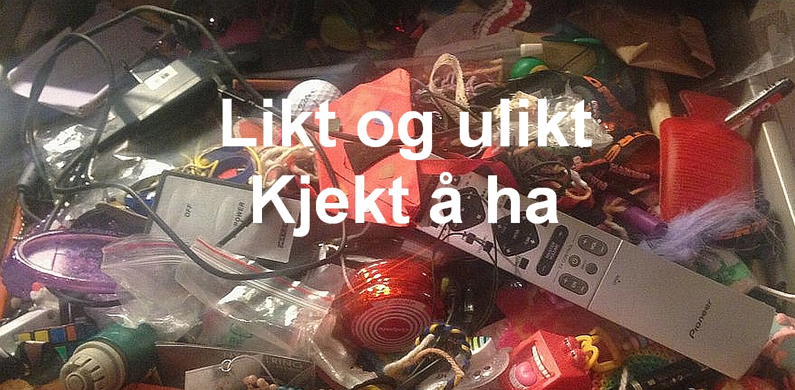 Likt og ulikt