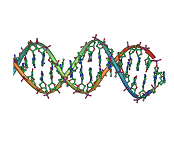 DNA lenke