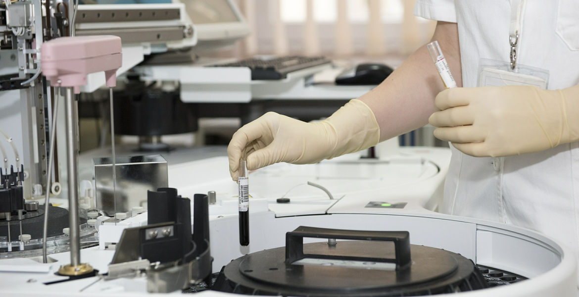 DNA i slektsforskning