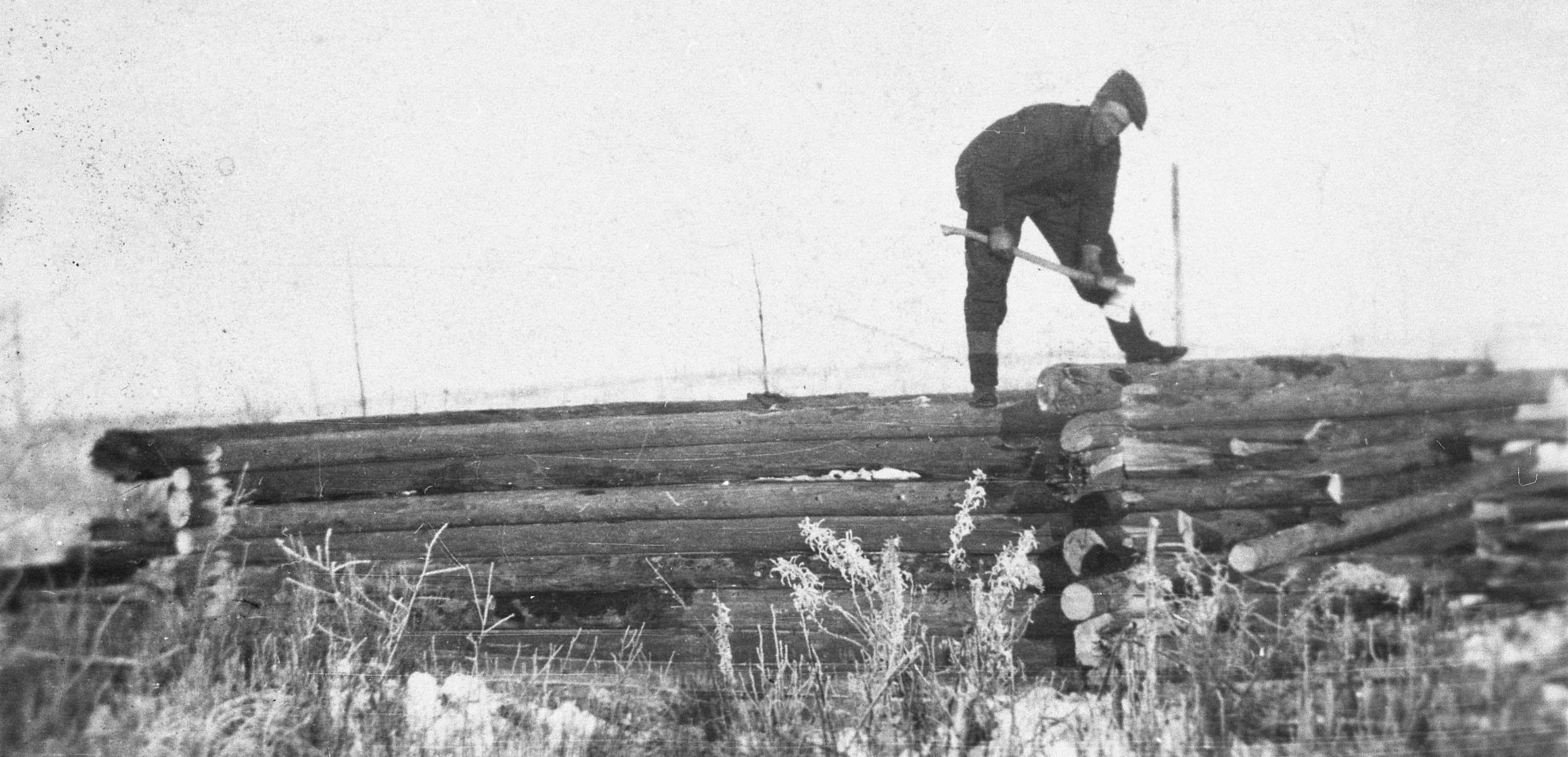 Bilde av en tømmermann