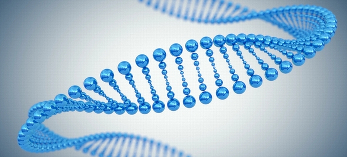 DNA-spiral