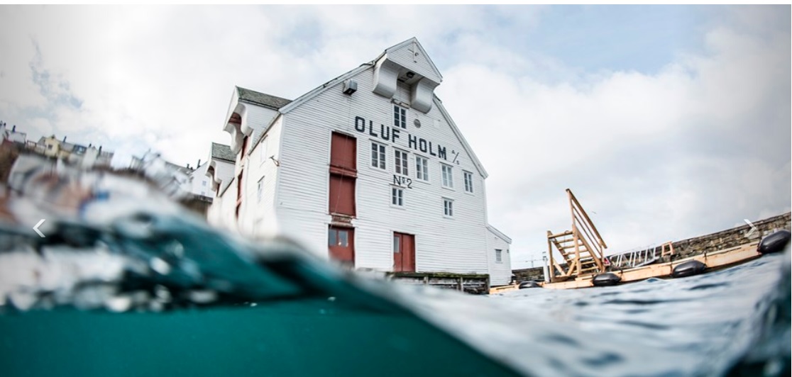 Fiskerimusset på på «Moljå» 