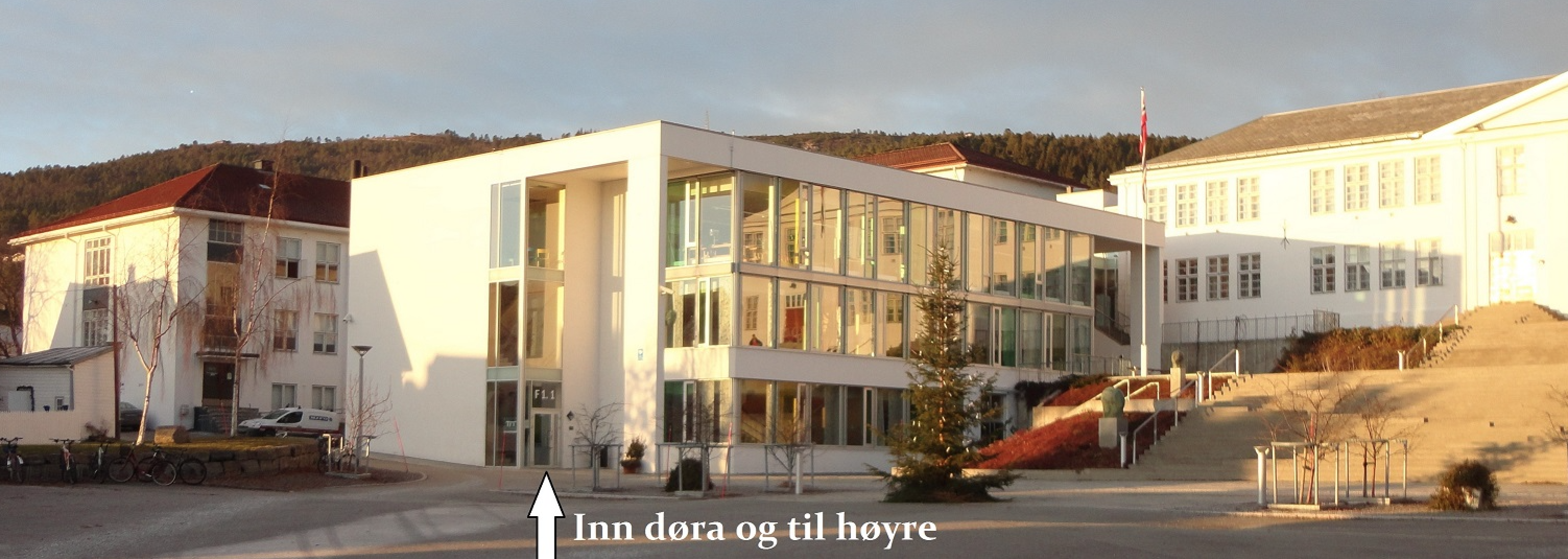 Molde vgs