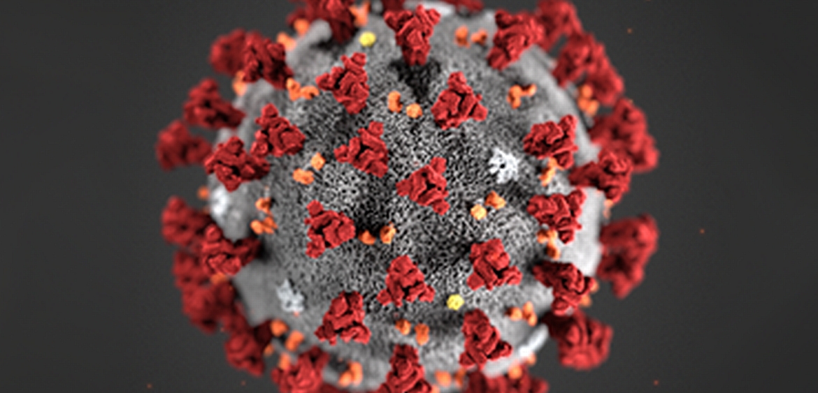 Virus