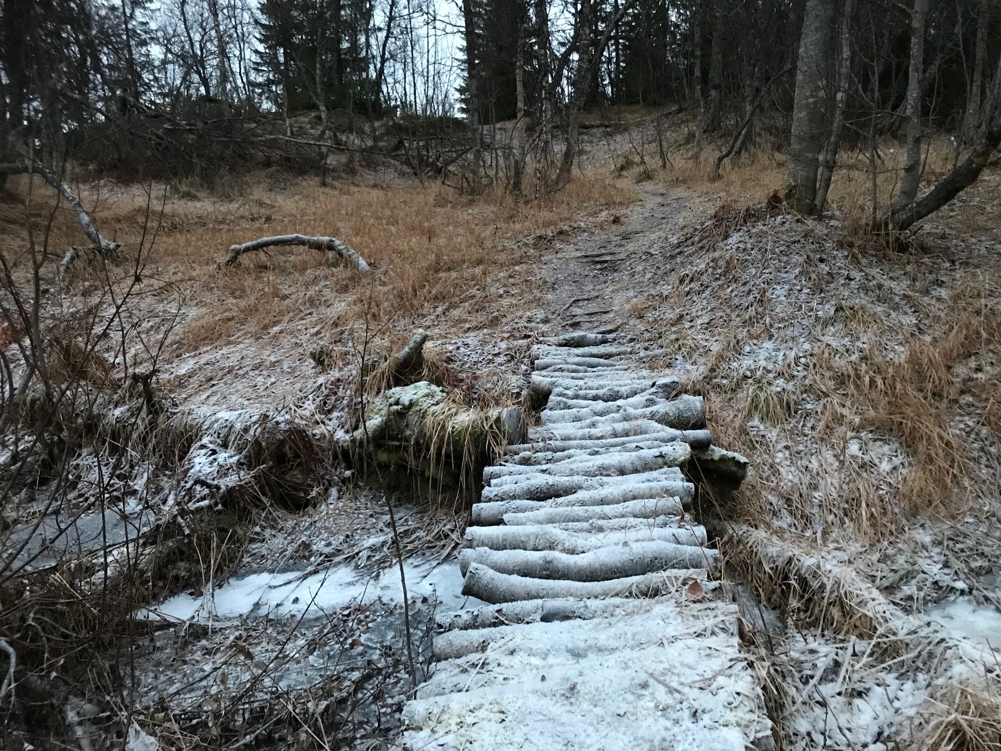 Gammel trebru 