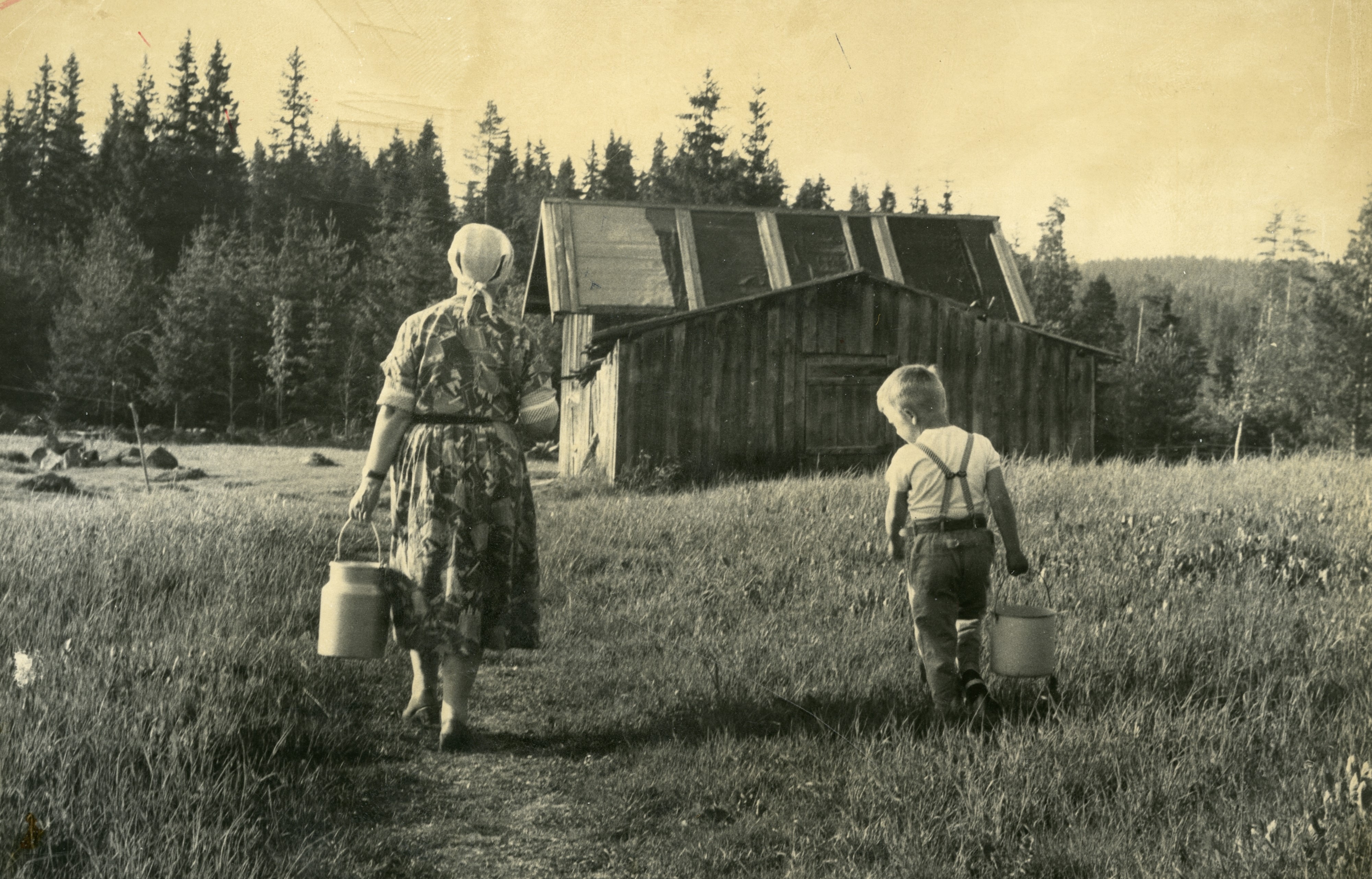 Skogfinner