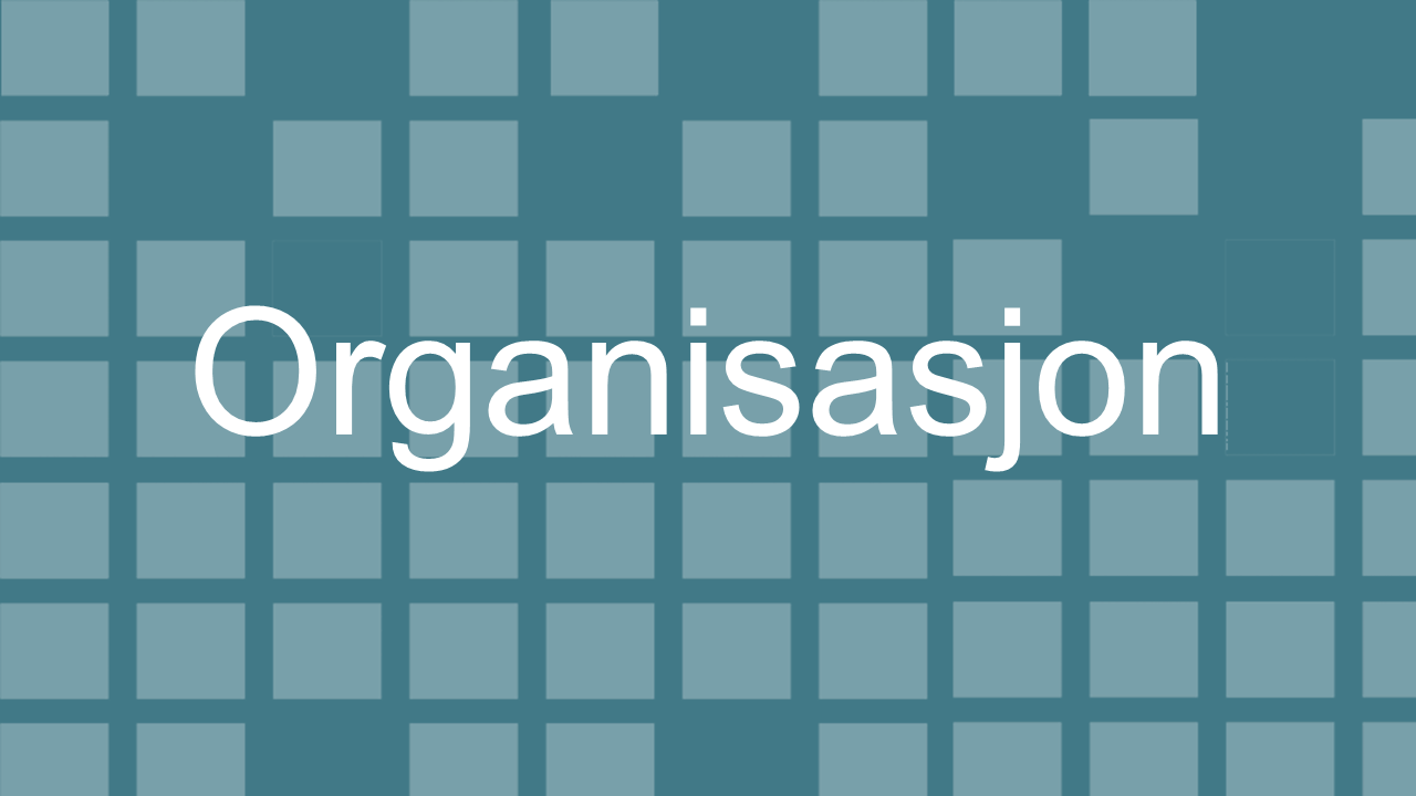 Organisasjon Slekt og Data