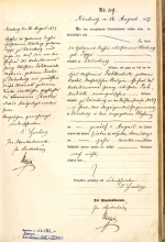 Folkeregister over fødsel fra 1877.