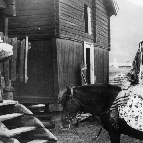 Hallingdal - kvinner