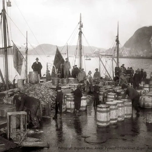 Ålesund, tidlig 1900-tall