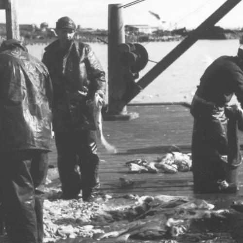 Fiskere