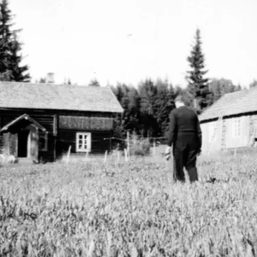 Bondegård