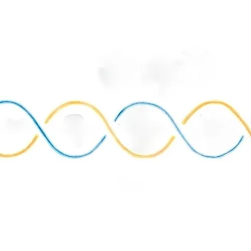 DNA-logo CBvdH