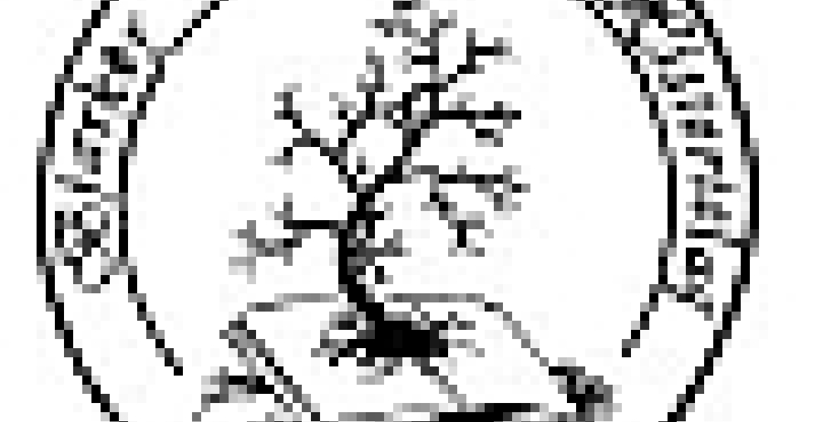 Bjarkøy slekts- og historielag - logo