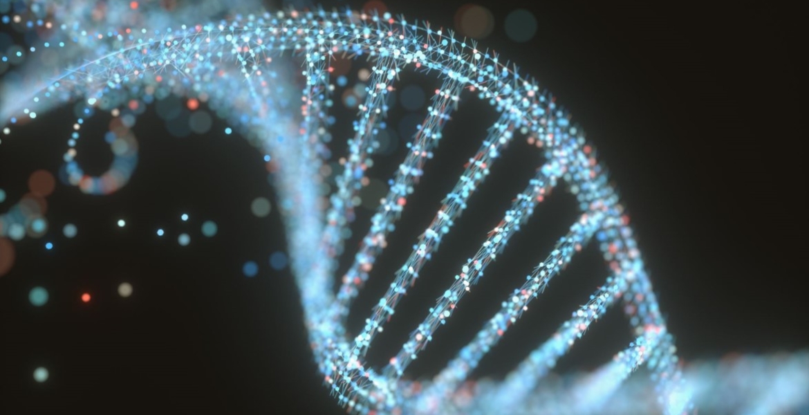 DNA