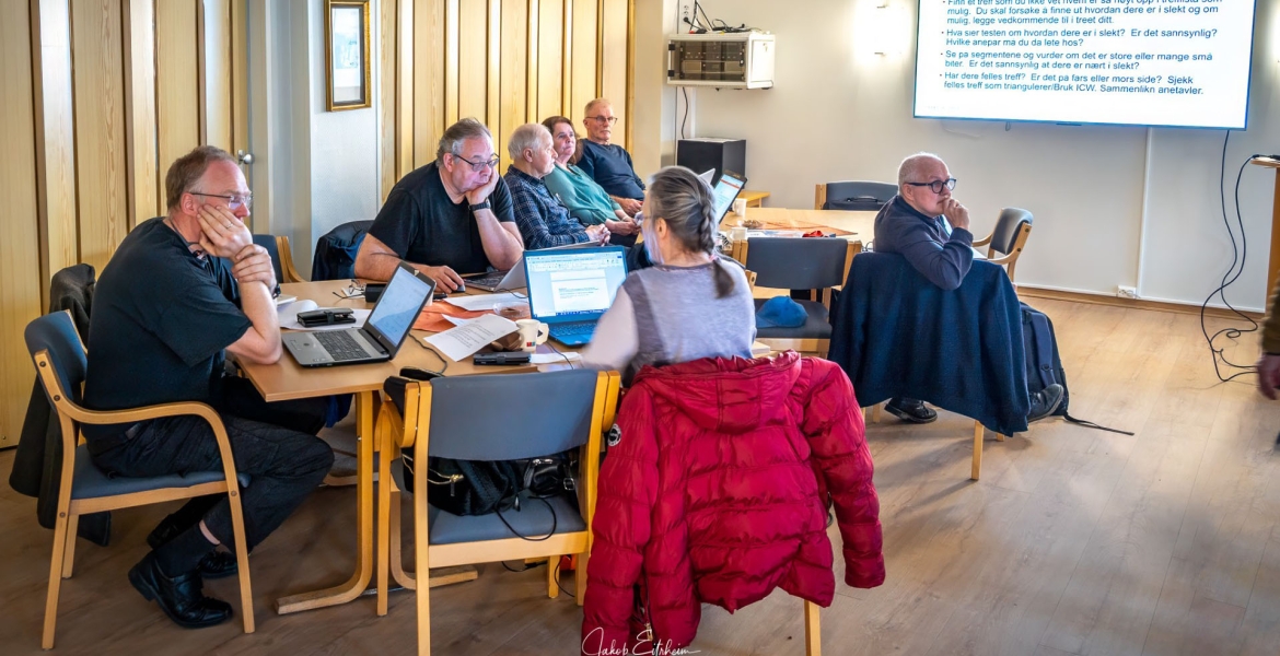 DNA-kurs i Harstad november 2024