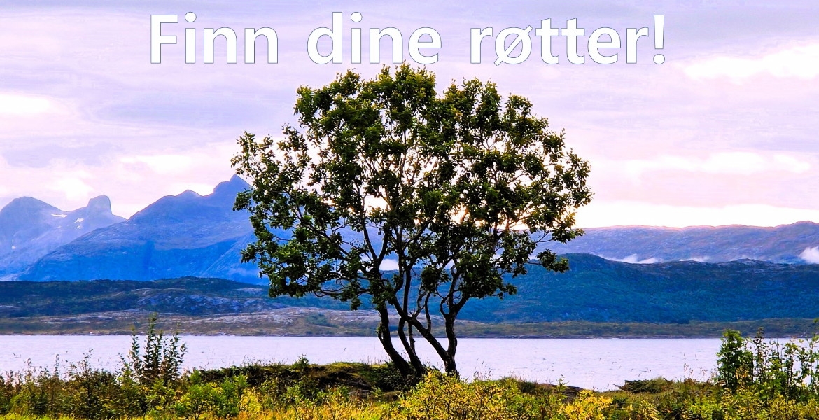 Finn dine røtter - kyststien Bodøsjøen